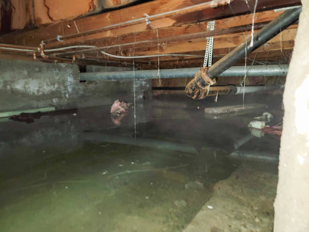 Best Water damage cleanup near me  in Stratford, TX