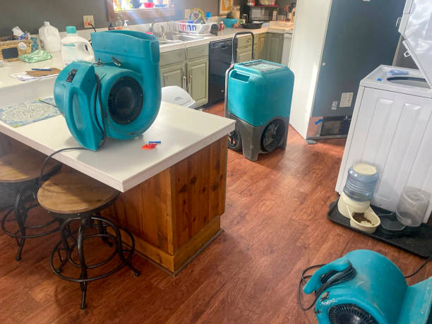 Best Local water damage restoration  in Stratford, TX