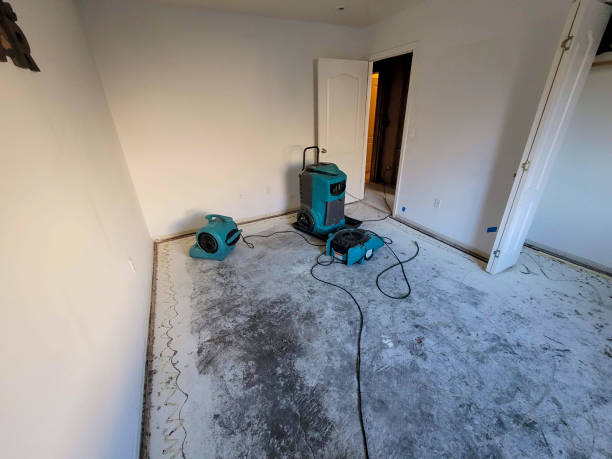 Best Water damage restoration near me  in Stratford, TX