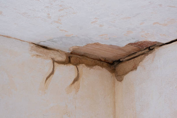 Best Mold removal after water damage  in Stratford, TX