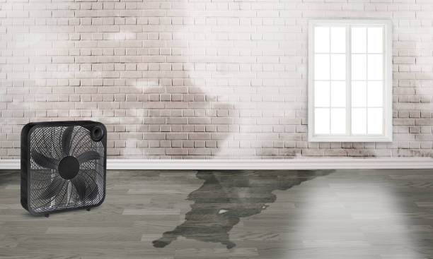 Best 24-hour water damage restoration  in Stratford, TX