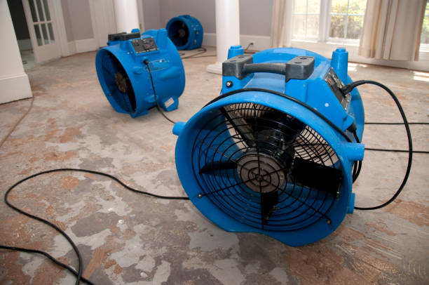 Best Water damage contractors near me  in Stratford, TX